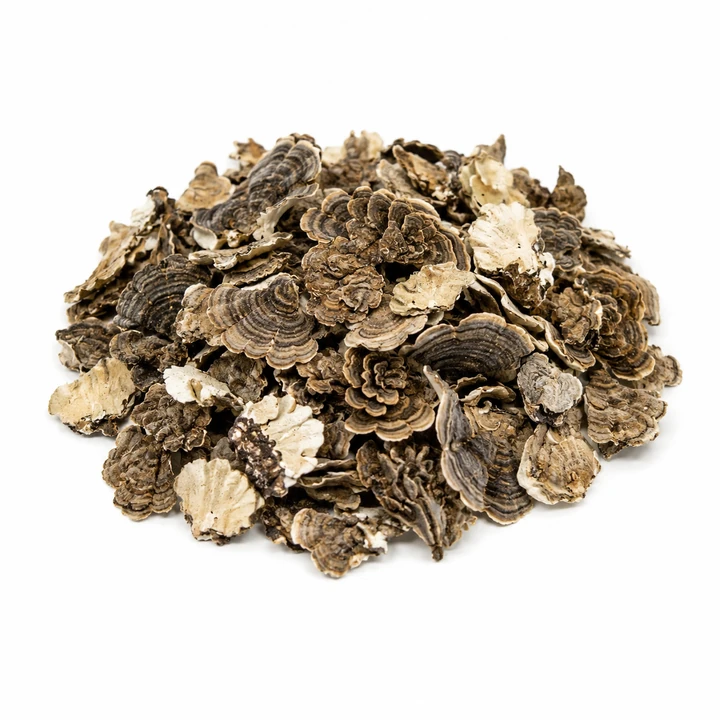 Turkey Tail whole wholesale product